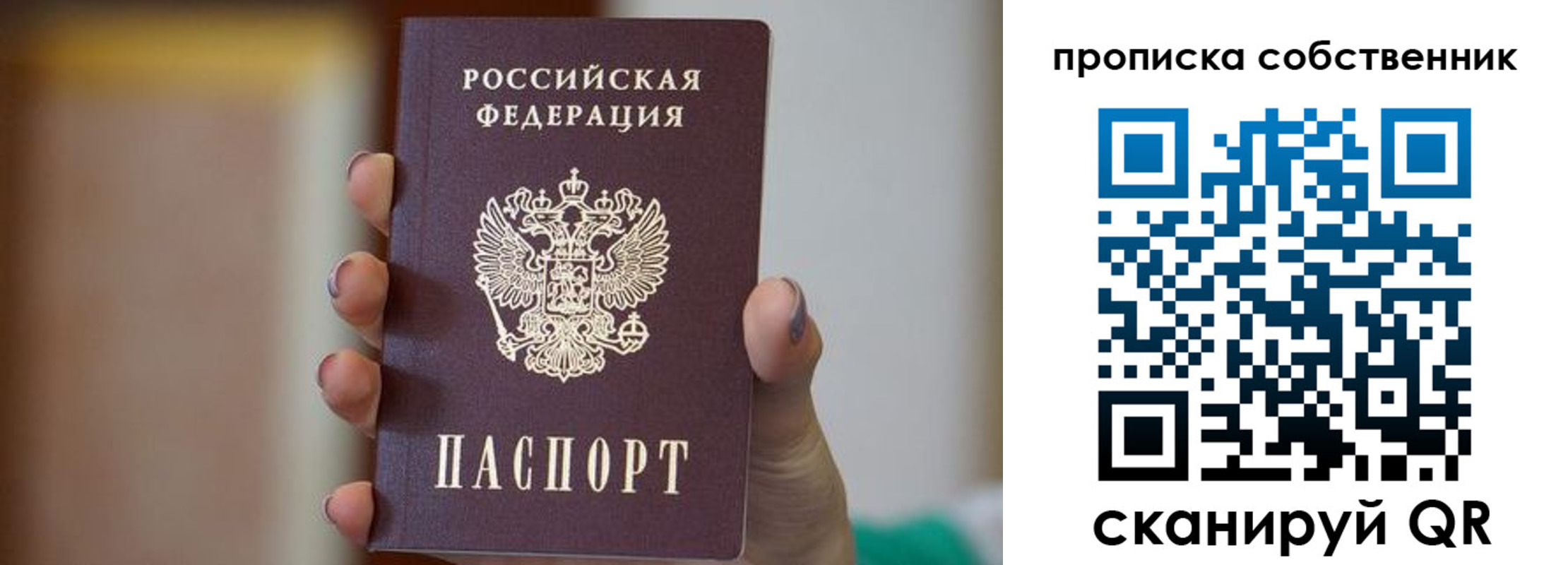 прописка поиск в Струнино